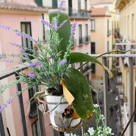 Katerine Bed & Breakfast